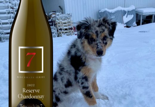 Rory-Chardonnay