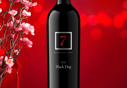 T7 black dog