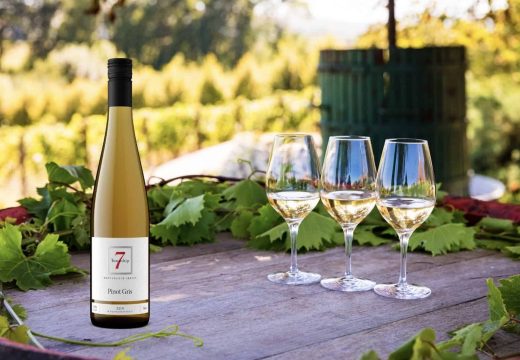 T7 pinot gris - summer