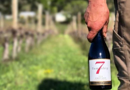 T7 remuda vineyard pinot noir - 2018